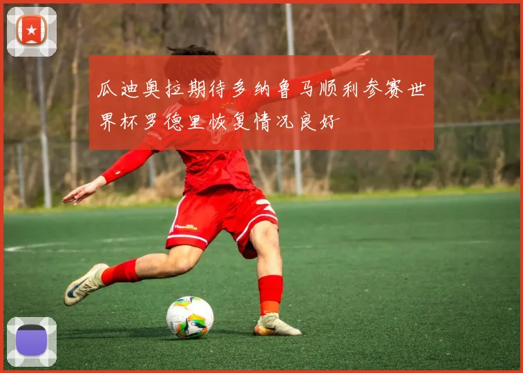 瓜迪奥拉期待多纳鲁马顺利参赛世界杯罗德里恢复情况良好