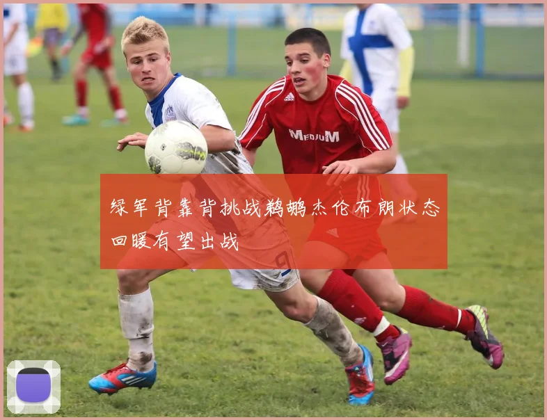 绿军背靠背挑战鹈鹕杰伦布朗状态回暖有望出战
