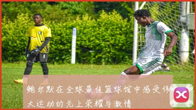 鲍尔默在全球最佳篮球馆中感受伟大运动的无上荣耀与激情